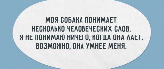 20 странных мыслей, которые посетили людей в душе