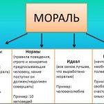 Что такое мораль, ее категории и функции