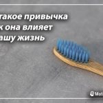 Что такое привычка и как она влияет на нашу жизнь