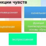 Чувства в психологии. Что это, определение высших, интеллектуальных, моральных