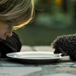 Girl with a hedgehog