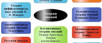 Эмоциональное состояние в психологии. Что это, определение, примеры