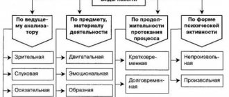 Photographic memory. How to develop what it is, exercises, how it works 