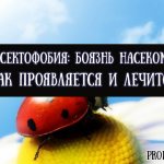 Как проявляется и лечится инсектофобия или боязнь насекомых