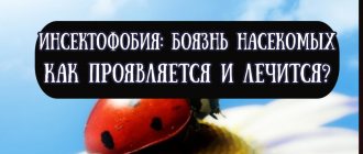 Как проявляется и лечится инсектофобия или боязнь насекомых