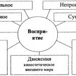 classification of perception in psychology