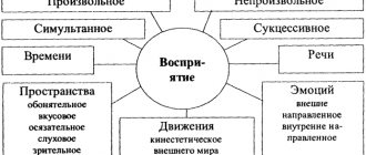 классификация восприятия в психологии