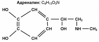 Mechanisms of panic symptoms adrenaline