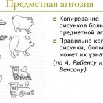 Modality in psychology. What is it, definition, examples of perception of sensations 