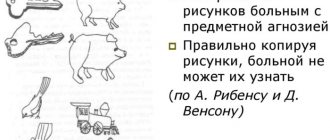 Modality in psychology. What is it, definition, examples of perception of sensations 