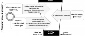 The perfect storm model