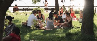 picnic in nature