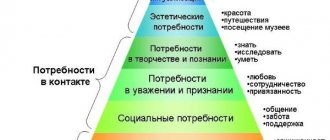 Понятие о направленности личности и мотивации деятельности