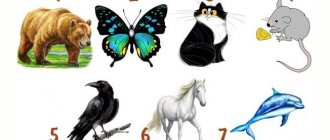 psychological test what animal could you be