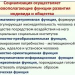 Социализация в психологии. Что это такое, этапы, факторы, стадии, виды, механизмы, функции