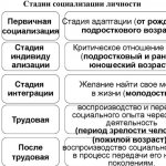 Социализация в психологии. Что это такое, этапы, факторы, стадии, виды, механизмы, функции