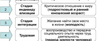 Социализация в психологии. Что это такое, этапы, факторы, стадии, виды, механизмы, функции