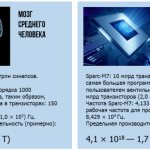 Comparison of the brain and computer