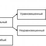 Types of the nervous system (according to I. P. Pavlov)