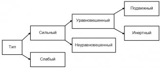 Types of the nervous system (according to I. P. Pavlov)